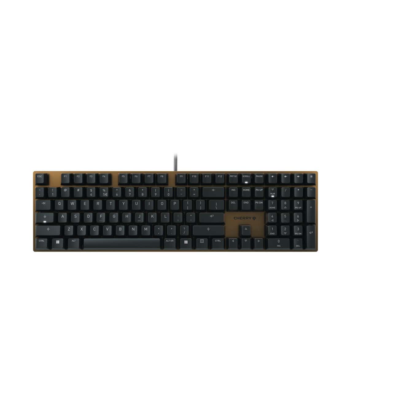 CHERRY KC 200 MX toetsenbord USB QWERTY Engels Zwart, Brons (G80-3950LHBEU-2) thumbnail
