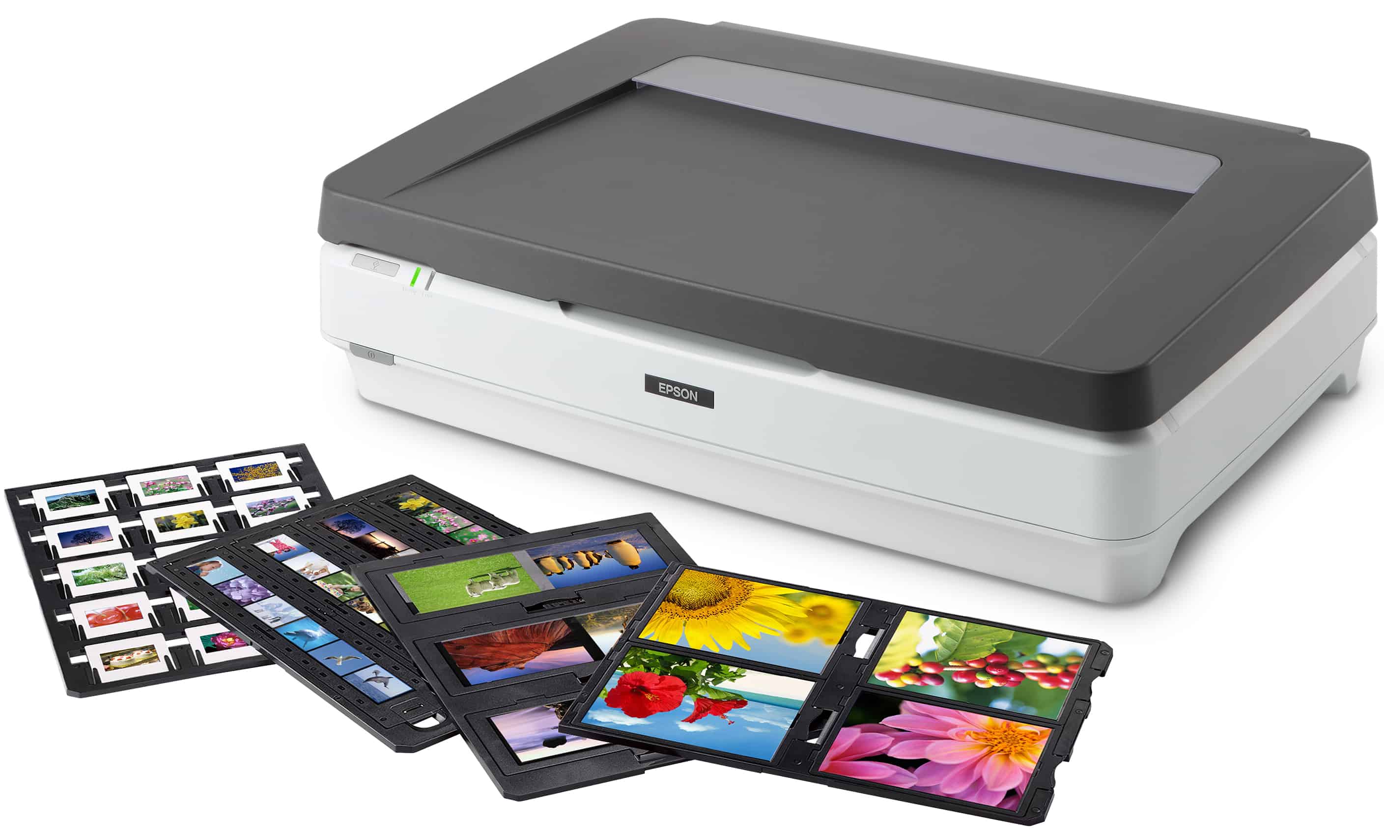 Epson Expression 13000XL Pro Flatbed scanner 2400 x 4800 DPI A3 Grijs, Wit (B11B257401BT) thumbnail