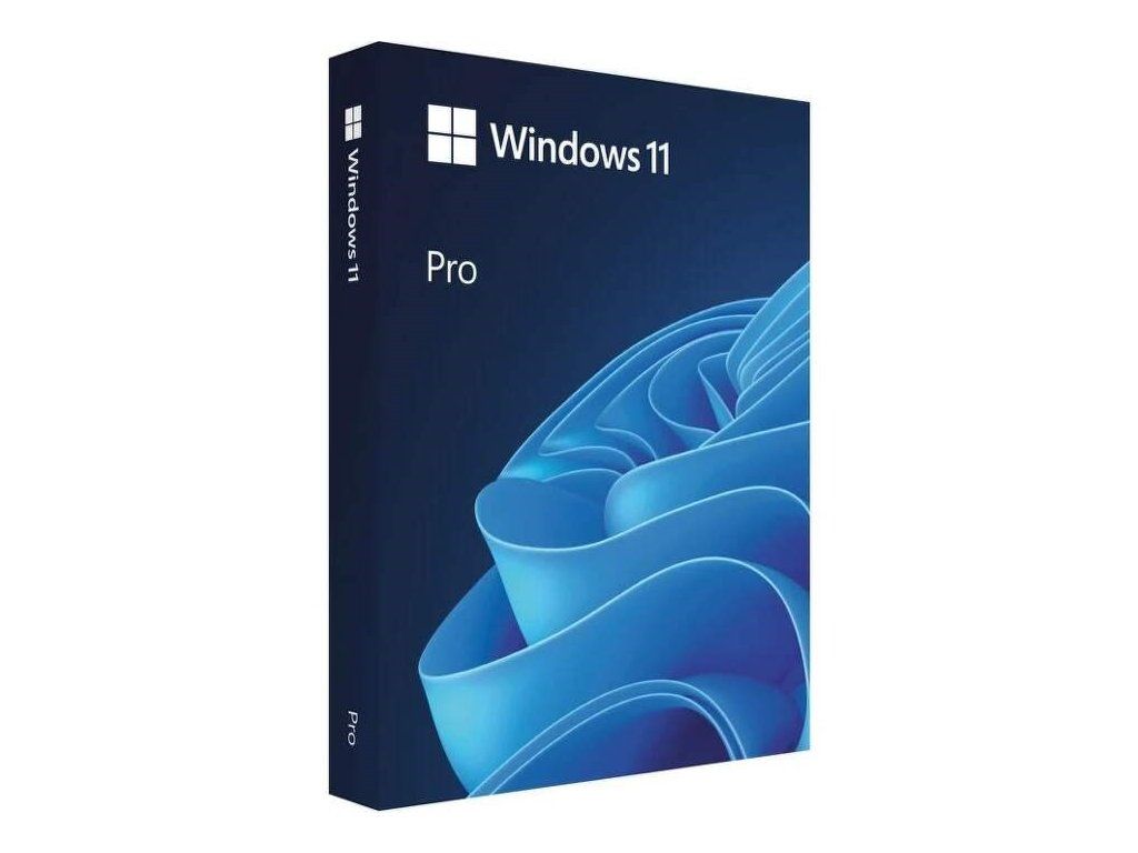 Microsoft Windows 11 Pro - Krabicové balení - 1 licence - flash disk - 64 bitù - sloven?tina (HAV-00161) thumbnail