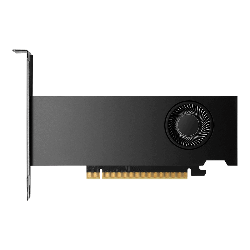 HP SPS-GFX NVIDIA RTX 2000 Ada 8GB (N54299-001) thumbnail