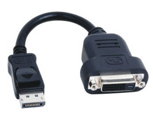 Fujitsu S26361-F4066-L13 video kabel adapter DisplayPort DVI-D Zwart (S26361-F4066-L13) thumbnail