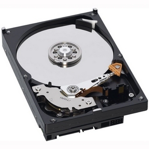 IBM 49Y1866 interne harde schijf 3.5 600 GB SAS (49Y1866) thumbnail