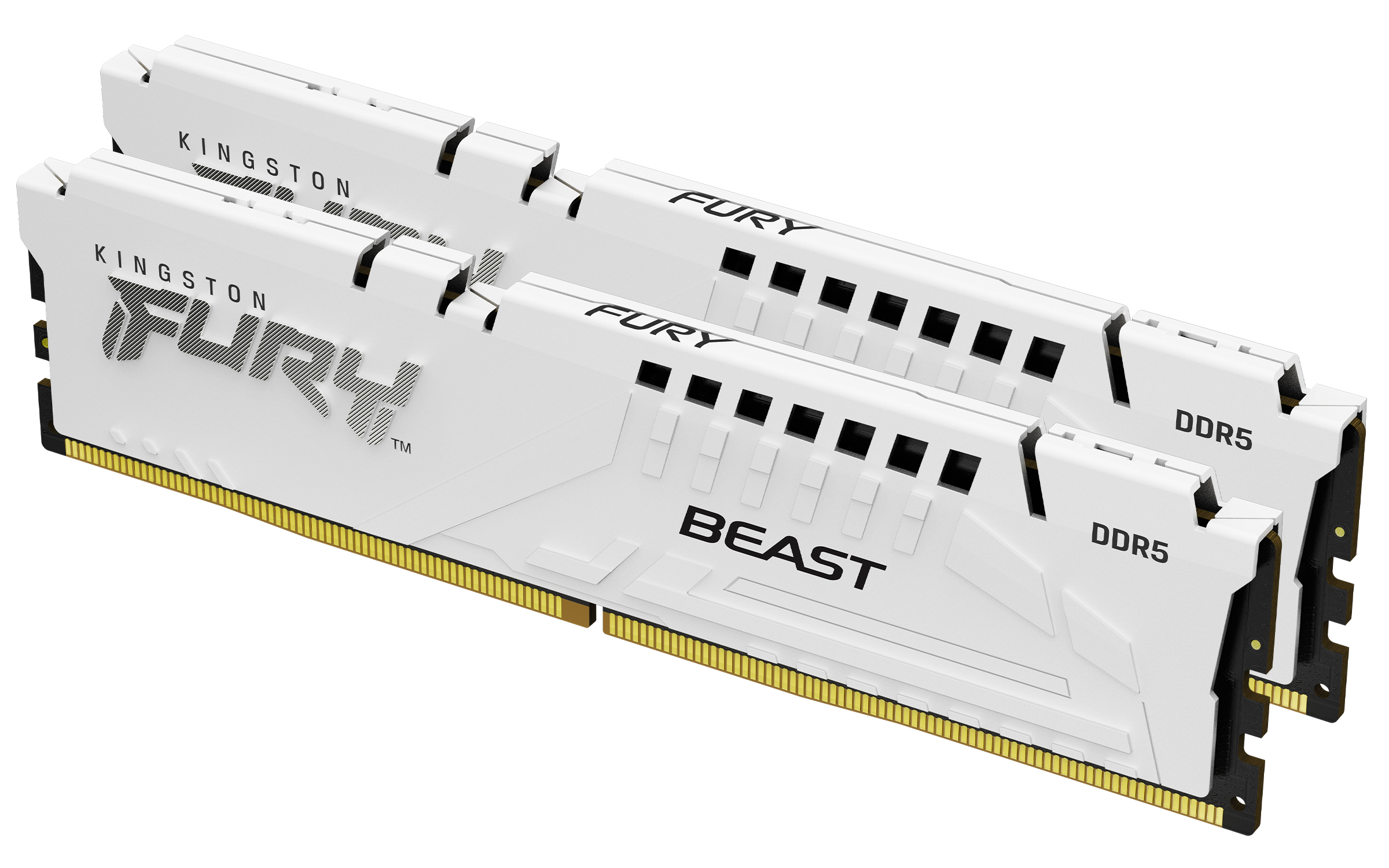 Kingston Technology FURY Beast 32GB 6800MT/s DDR5 CL34 DIMM (Kit of 2) White EXPO (KF568C34BWEK2-32) thumbnail