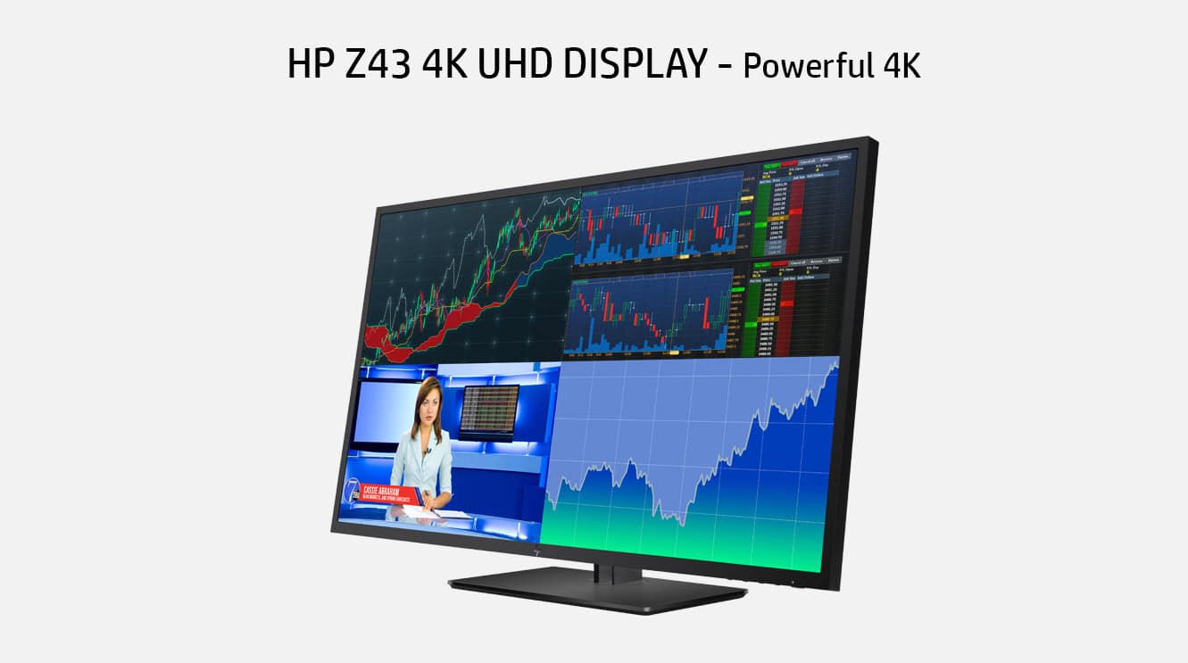 HP ASSY, Z43 UHD 4K HO DISPLAY-W (918009-700) thumbnail
