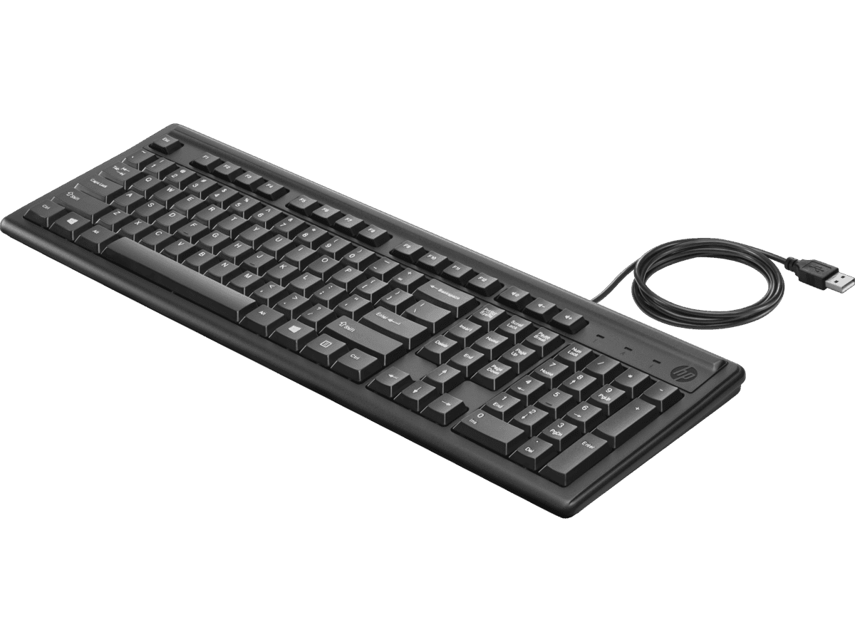 HP KEYBOARD 100 HUNG (L07896-211) thumbnail