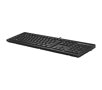 HP SPS-KBD 125 WHITE WIRED HP NP NWAFR (N51307-DE1) thumbnail