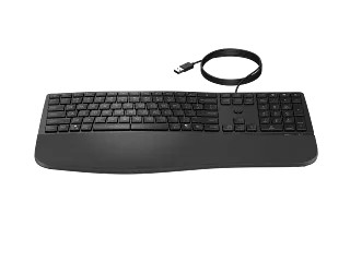 HP SPS-KBD HP 310 BLACK WIRED NP FR (N54685-051) thumbnail