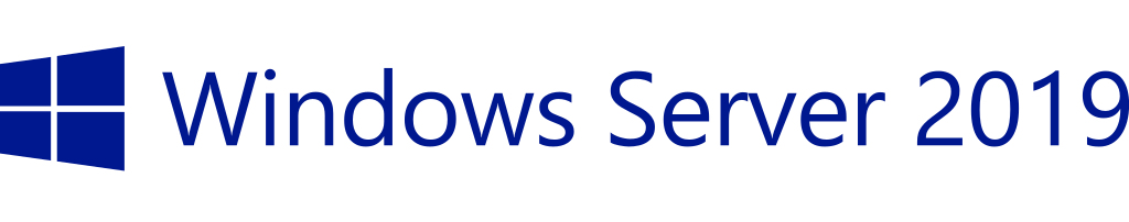 Hewlett Packard Enterprise Microsoft Windows Server 2019 Client Access License (CAL) 1 licentie(s) Licentie Meertalig (P11074-A21) thumbnail