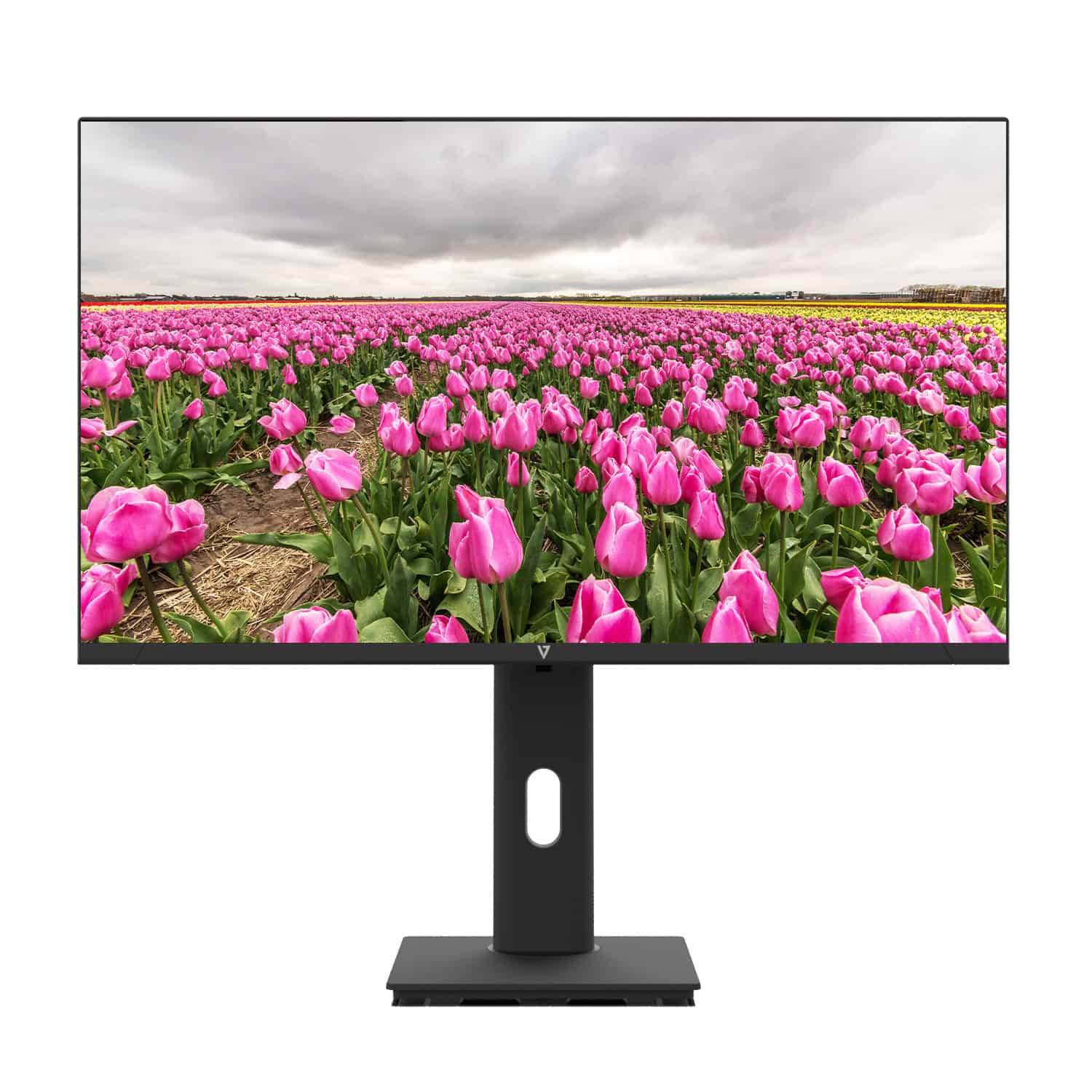 V7 L238V0-HAS-E computer monitor 60,5 cm (23.8) 1920 x 1080 Pixels Full HD LED Zwart (L238V0-HAS-E) thumbnail