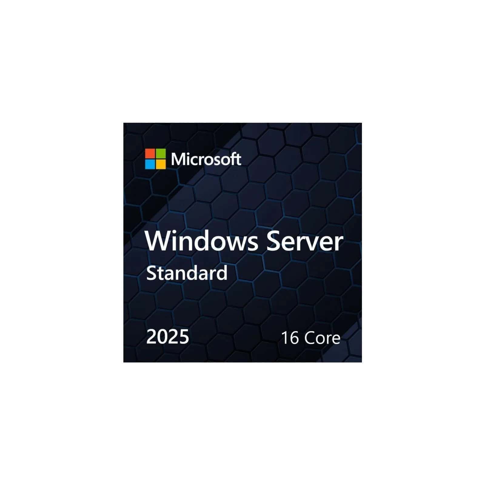 Microsoft Svr Std 2025 24 Core (EP2-25205) thumbnail