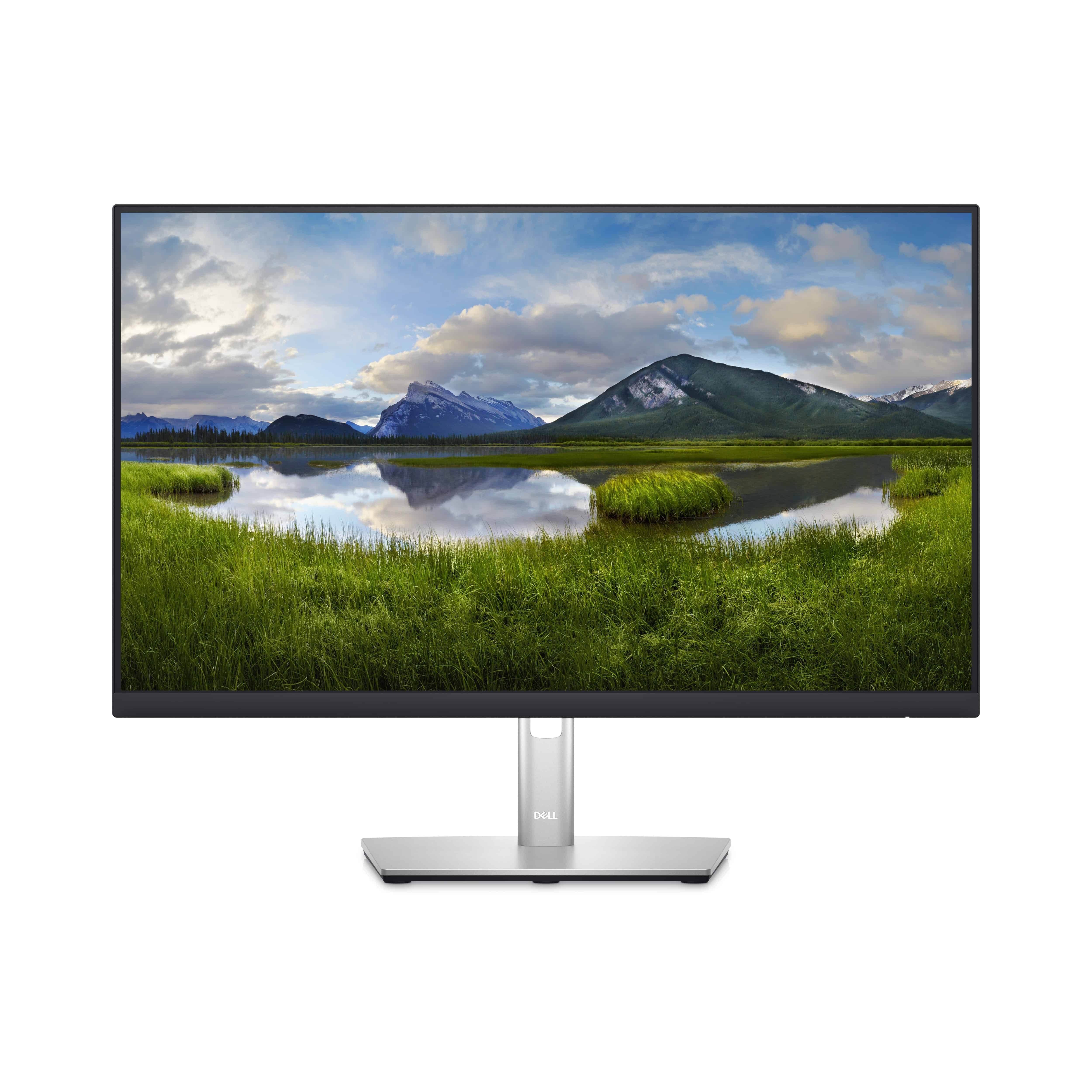 DELL P Series 24 inch QHD Monitor - P2423D (P2423D) thumbnail