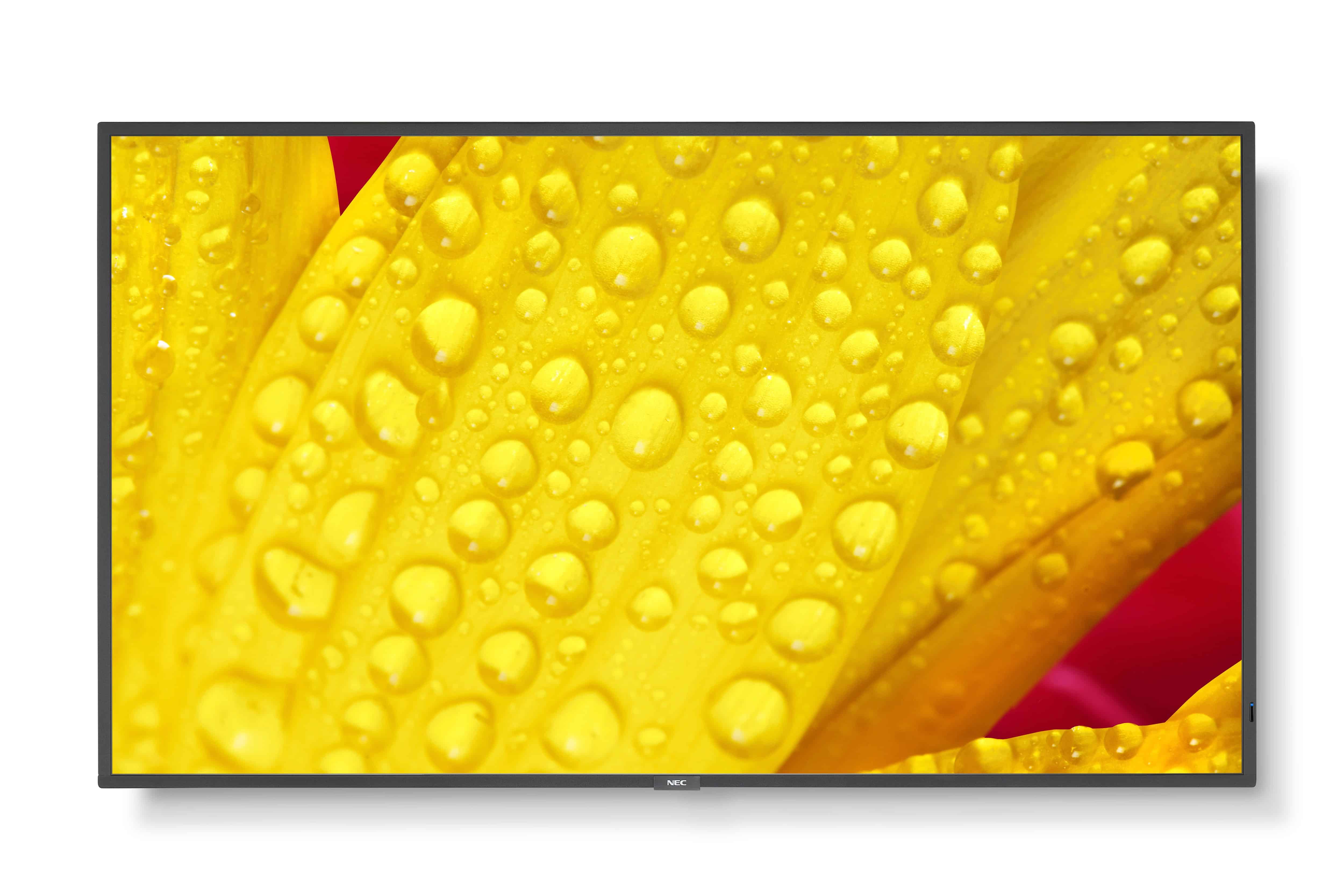NEC MultiSync M551-2 Kiosk-ontwerp 127 cm (50) LED 4K Ultra HD Zwart Type processor (60006085) thumbnail