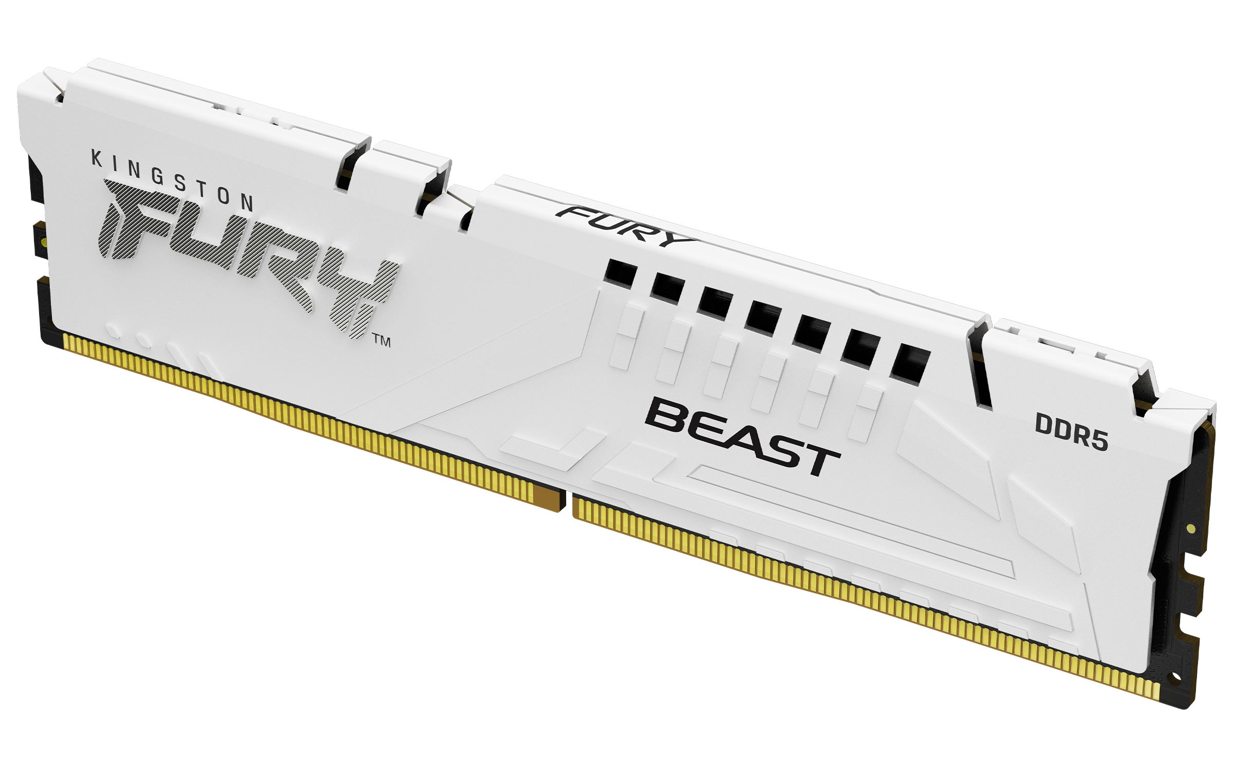 Kingston Technology FURY Beast 32GB 6000MT/s DDR5 CL36 DIMM White EXPO (KF560C36BWE-32) thumbnail