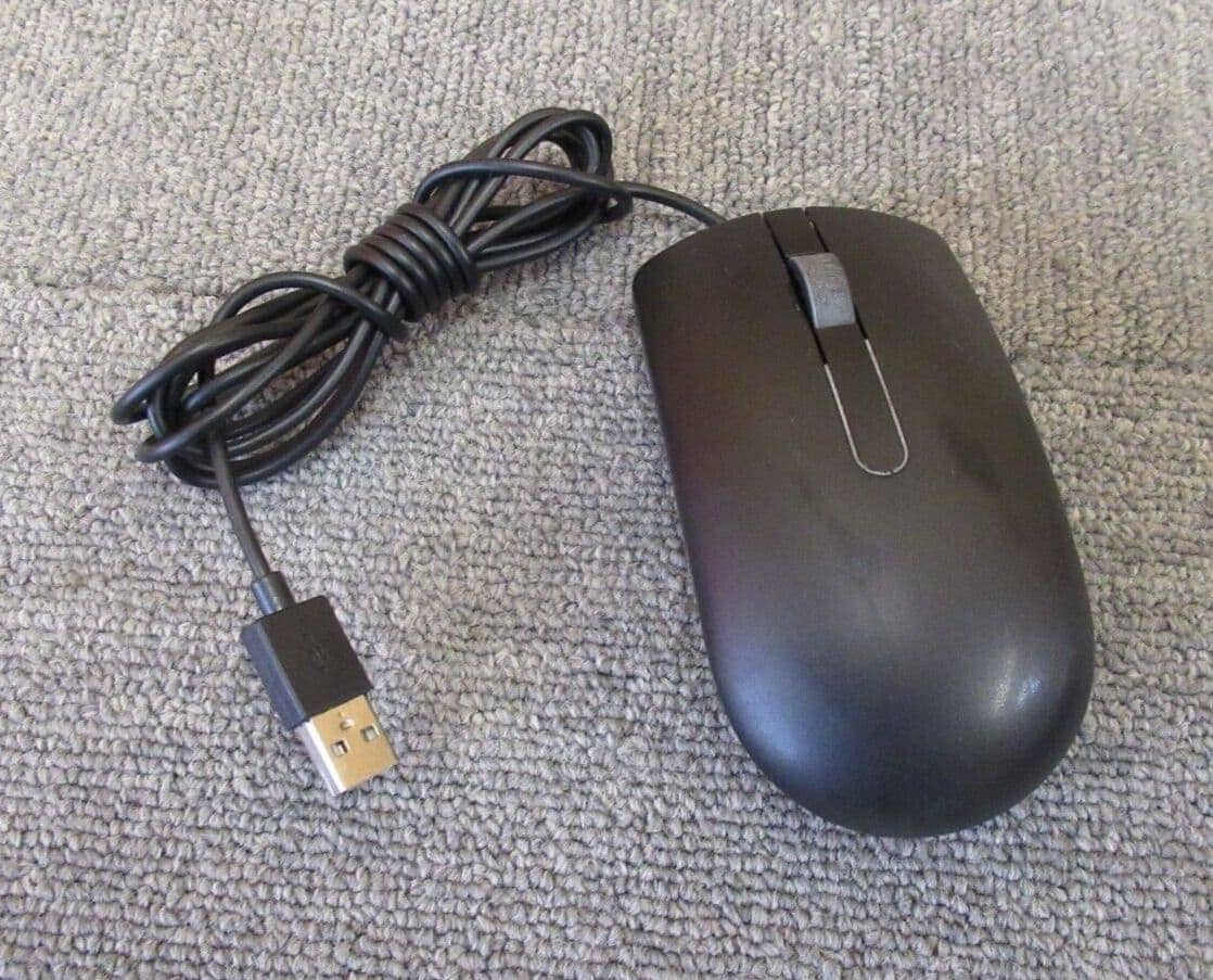 Dell MS116 - mus - USB - sort (JD7XG) thumbnail