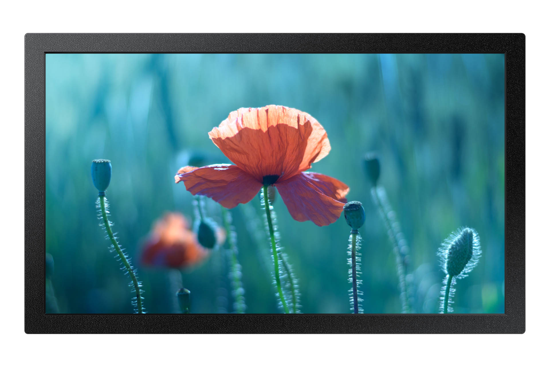 Samsung 13" Full HD Small Display QB13C (LH13QBCEBGBXEN) thumbnail