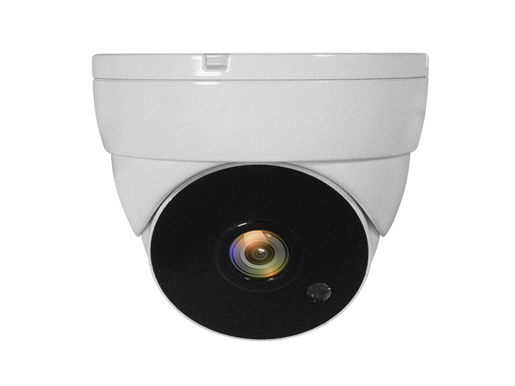 LevelOne ACS-5302 bewakingscamera Dome CCTV-bewakingscamera Binnen & buiten Plafond (ACS-5302) thumbnail