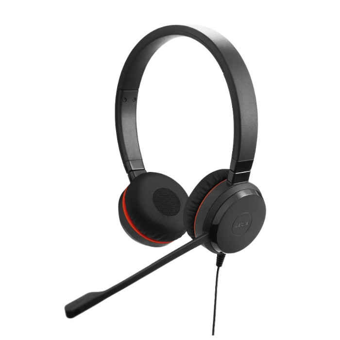 Lenovo AUDIO_VID Unicredit-Jabra 2499-829-309 (4Z21P83700) thumbnail