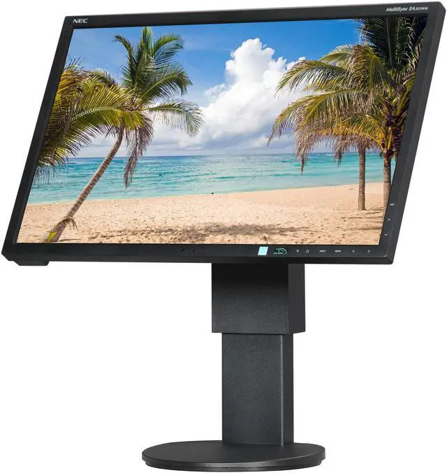 Lenovo MONITORS NEC MultiSync EA223WM DVI-D (4ZF0A06489) thumbnail