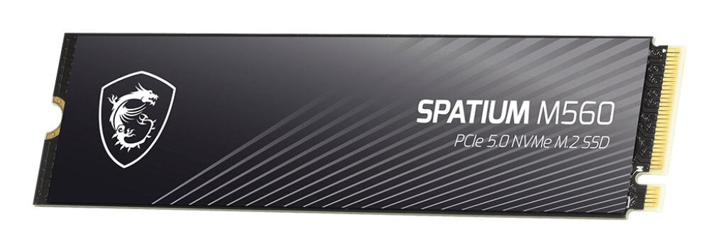 MSI Spatium M560 PCIE 5.0 NVME M.2 2 TB PCI Express 5.0 3D NAND (S78-440Q940-P83) thumbnail