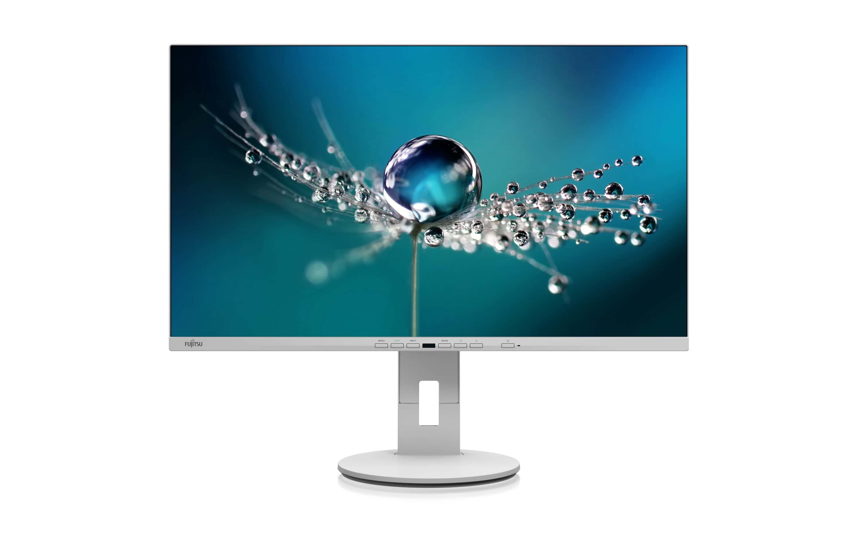 Fujitsu B2711 TE FHD computer monitor 68,6 cm (27) 1920 x 1080 Pixels Full HD LED Grijs (S26361-K1701-V140) thumbnail