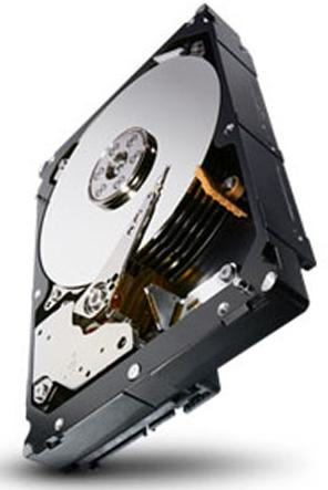 Seagate Constellation 1TBGB SATA, 7200rpm interne harde schijf 1 TB 64 MB 3.5 (ST1000NM0011-RFB) thumbnail Seagate Constellation 1TBGB SATA, 7200rpm interne harde schijf 1 TB 64 MB 3.5 (ST1000NM0011-RFB) thumbnail