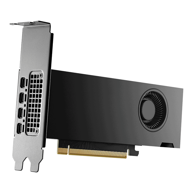 PNY NVIDIA RTX 2000 Ada Generation - Grafikkarten - NVIDIA RTX 2000 Ada - 16GB GDDR6 - PCIe 4,0 x16 - 4 x Mini DisplayPort (900- (900-5G192-2240-000) thumbnail