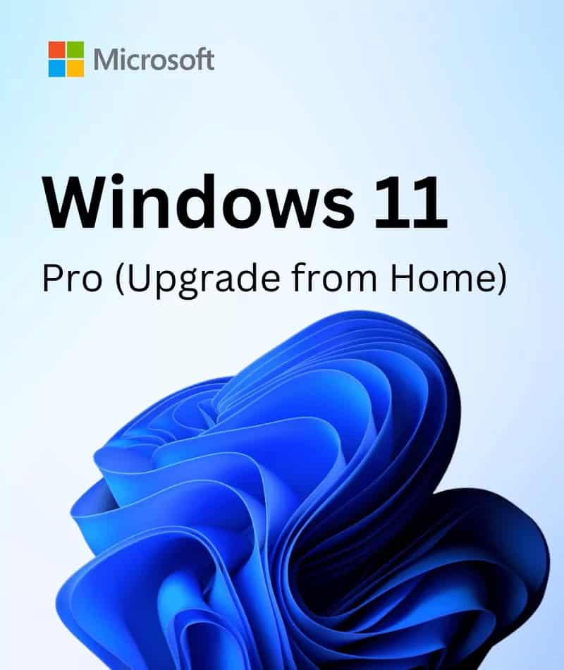 Microsoft CLOUD CSP Win 11 Home N to Pro Upgr f M365 Business [P] (DG7GMGF0D8H3:0002) thumbnail