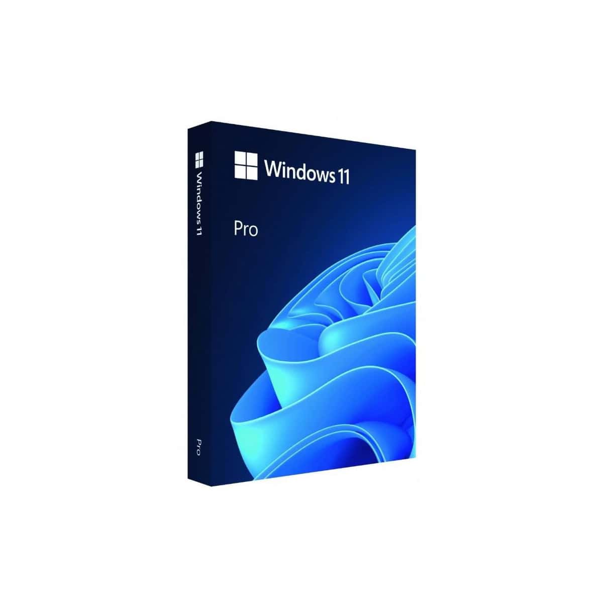 Microsoft Windows Pro 11 PL Box 64bit USB (HAV-00209) thumbnail
