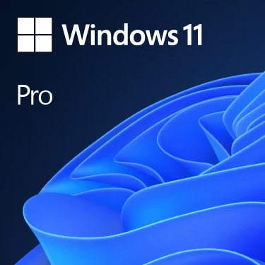 Microsoft Win Pro N FPP 11 64-bit Eng Intl EEA USB (HAY-00073) thumbnail