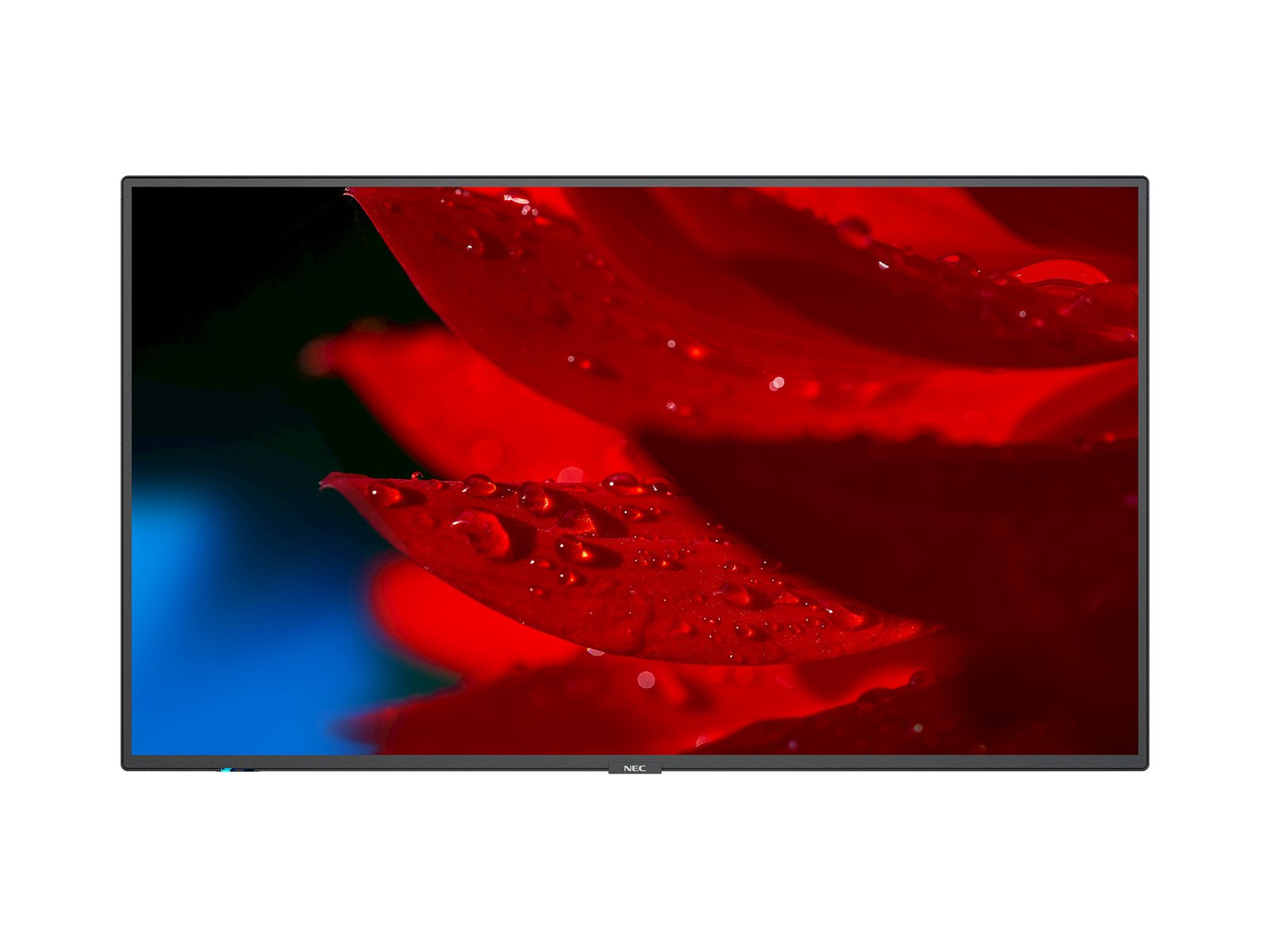 NEC MultiSync MA491 Digitale signage flatscreen 124,5 cm (49) LCD 500 cd/m² 4K Ultra HD Zwart 24/7 (60005050) thumbnail