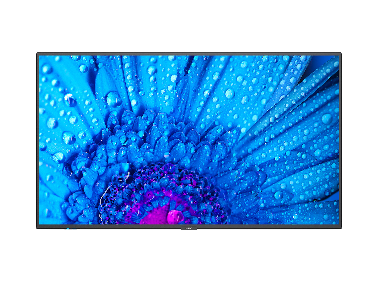NEC MultiSync M551 Digitale signage flatscreen 139,7 cm (55) LCD 500 cd/m² 4K Ultra HD Zwart 24/7 (60005055) thumbnail