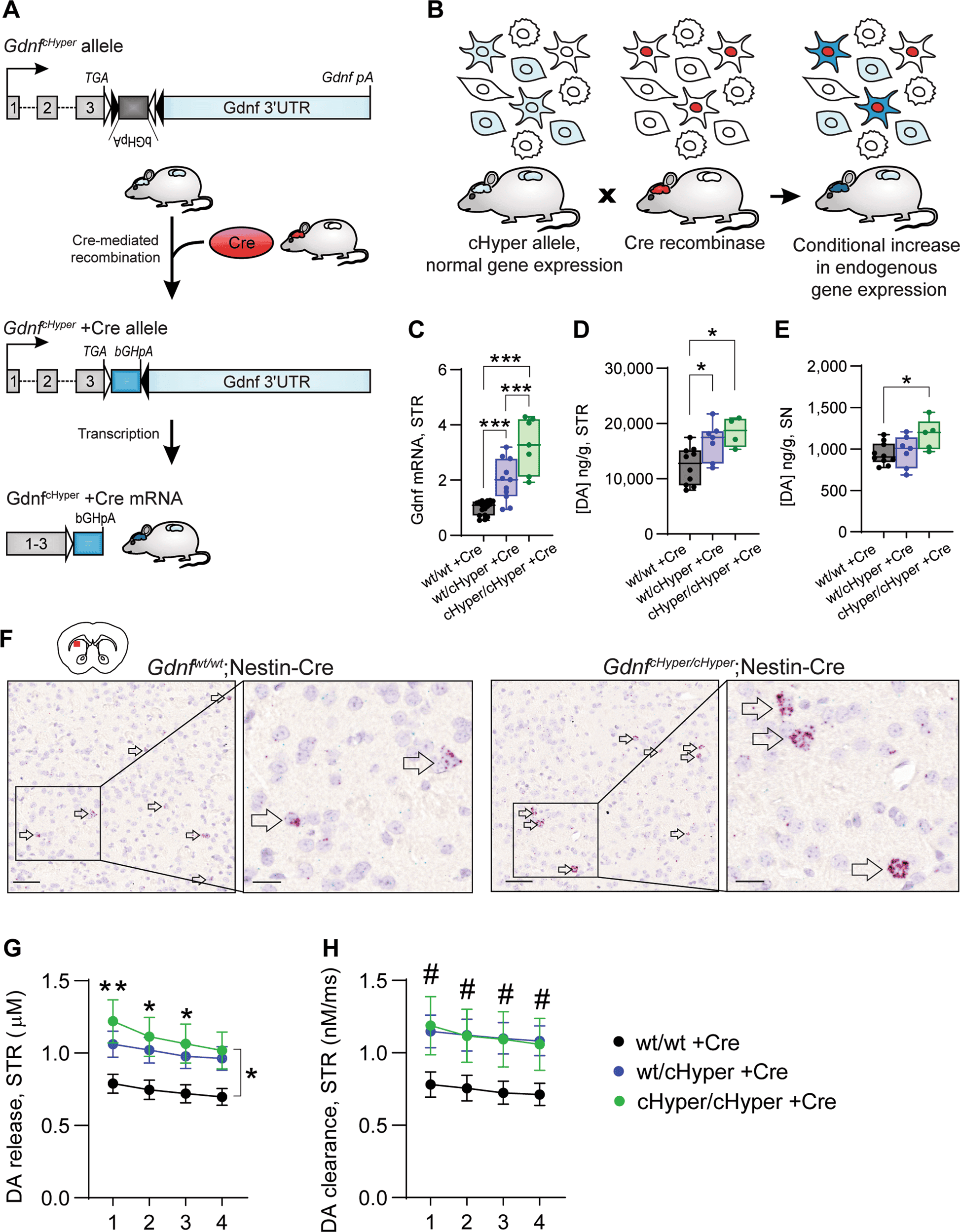 Getac UX10G2 - Office Dock w/ 90W AC Adapter (GDOF2N) thumbnail