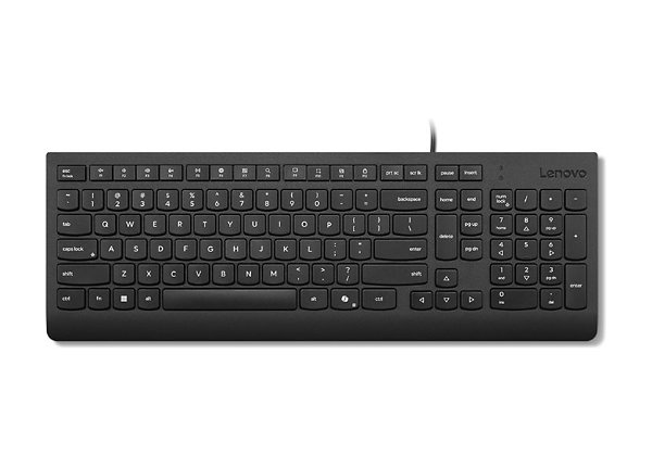 Lenovo Essential Wired Keyboard - Bulgar (4Y41C68648) thumbnail