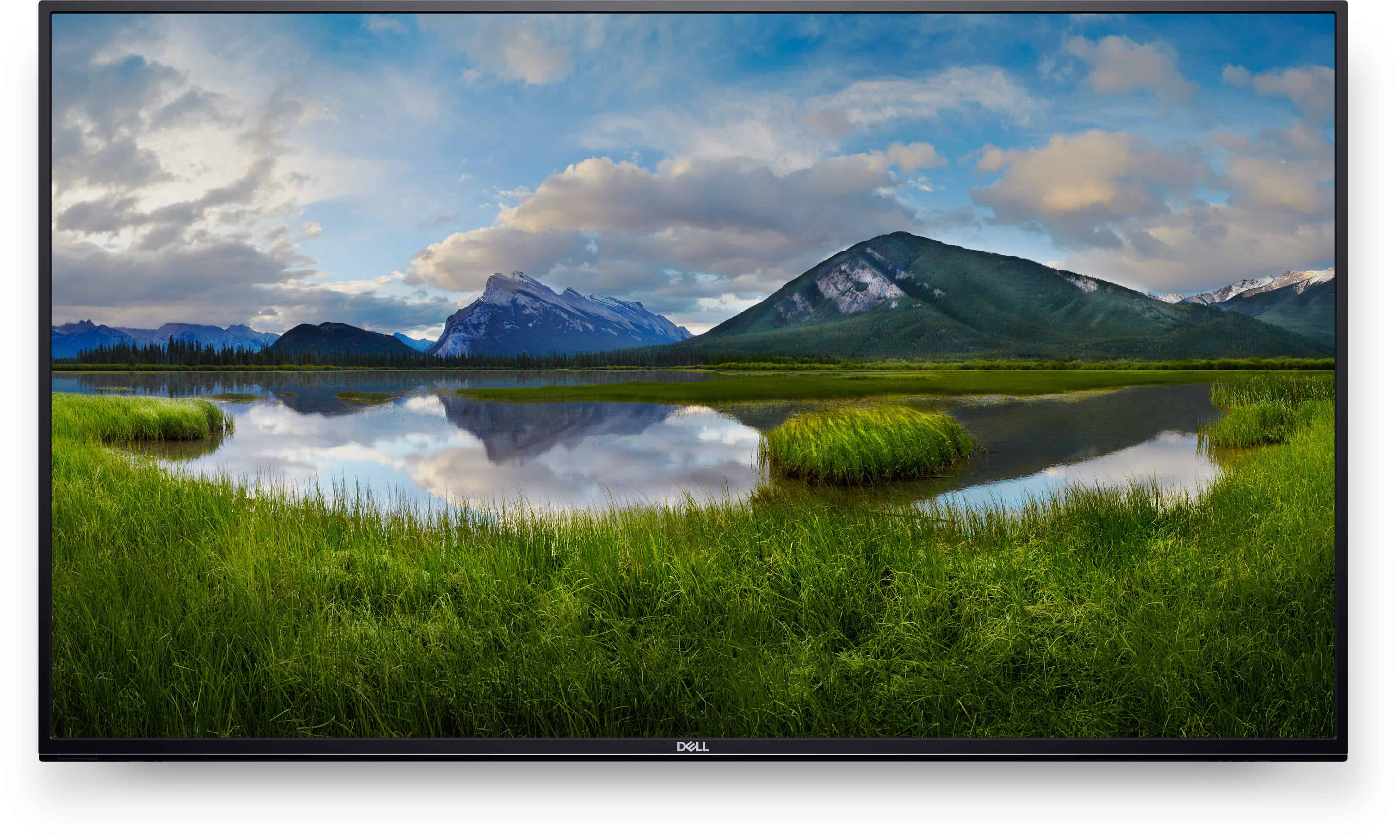 DELL C5519QA Digitale signage flatscreen 139,7 cm (55") LCD 350 cd/m² 4K Ultra HD Zwart (DELL-P5524Q) thumbnail