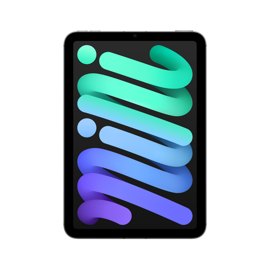 Apple iPad mini Wi-Fi + Cellular 128GB - Space Grey (MXPN3HC/A) thumbnail