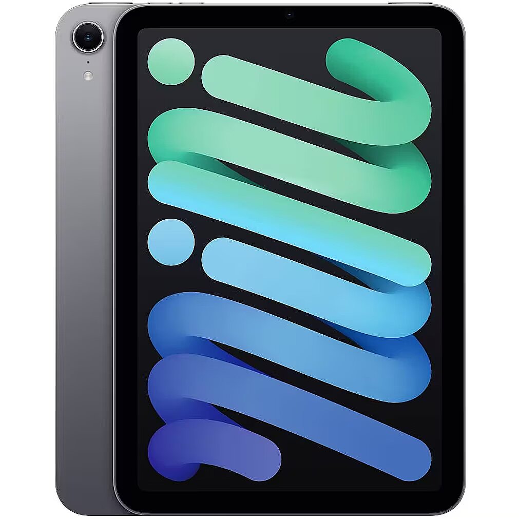 Apple iPad mini Wi-Fi + Cellular 256GB - Space Grey (MXPT3HC/A) thumbnail