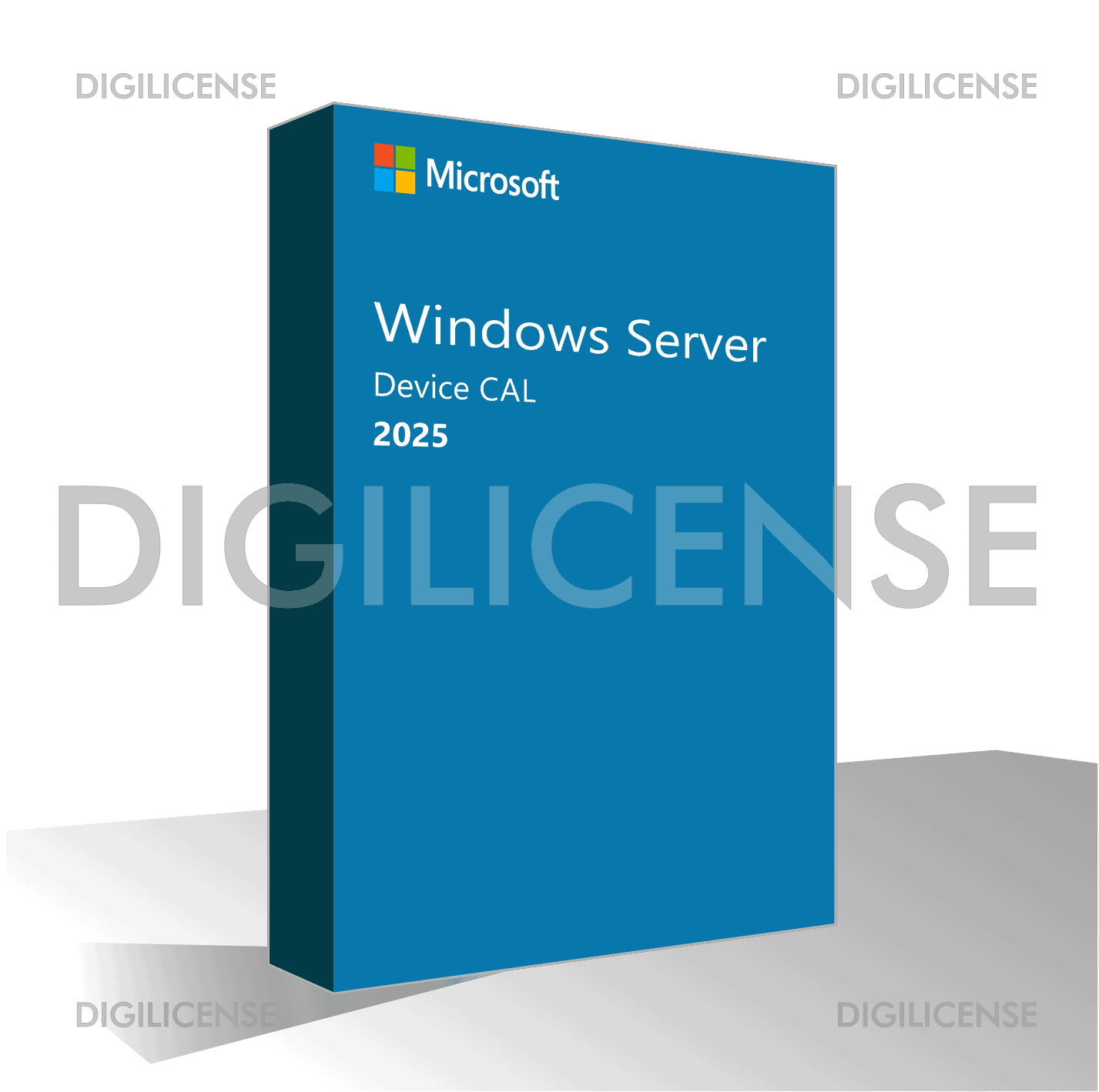 Microsoft Windows Server CAL 2025 Polish 1pk DSP OEI 1 Clt Device CAL (EP2-25232) thumbnail