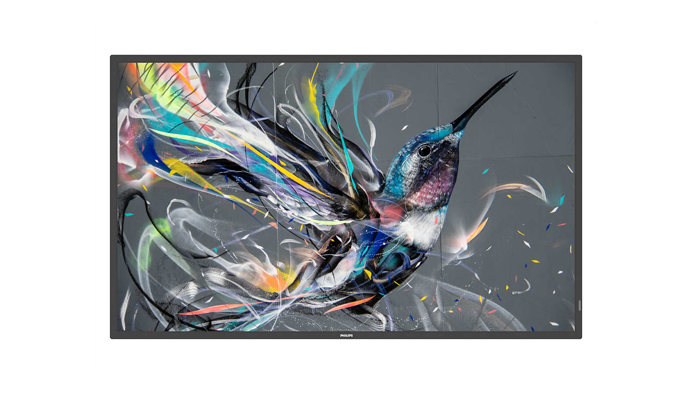 Philips 65BDL3550Q/00 beeldkrant 165,1 cm (65") IPS 400 cd/m² 4K Ultra HD Android 8.0 18/7 (65BDL3550Q/00) thumbnail