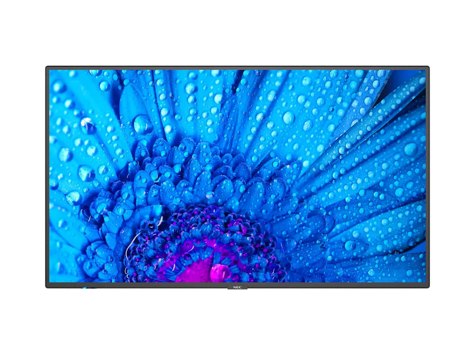 NEC MultiSync M491 Digitale signage flatscreen 124,5 cm (49") IPS 500 cd/m² 4K Ultra HD Zwart 24/7 (60005051) thumbnail