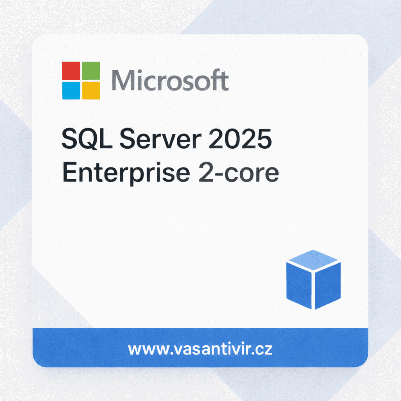 Microsoft OVS/SQL CAL 2025 All Lng OLV E Each AE A (EP2-70842) thumbnail