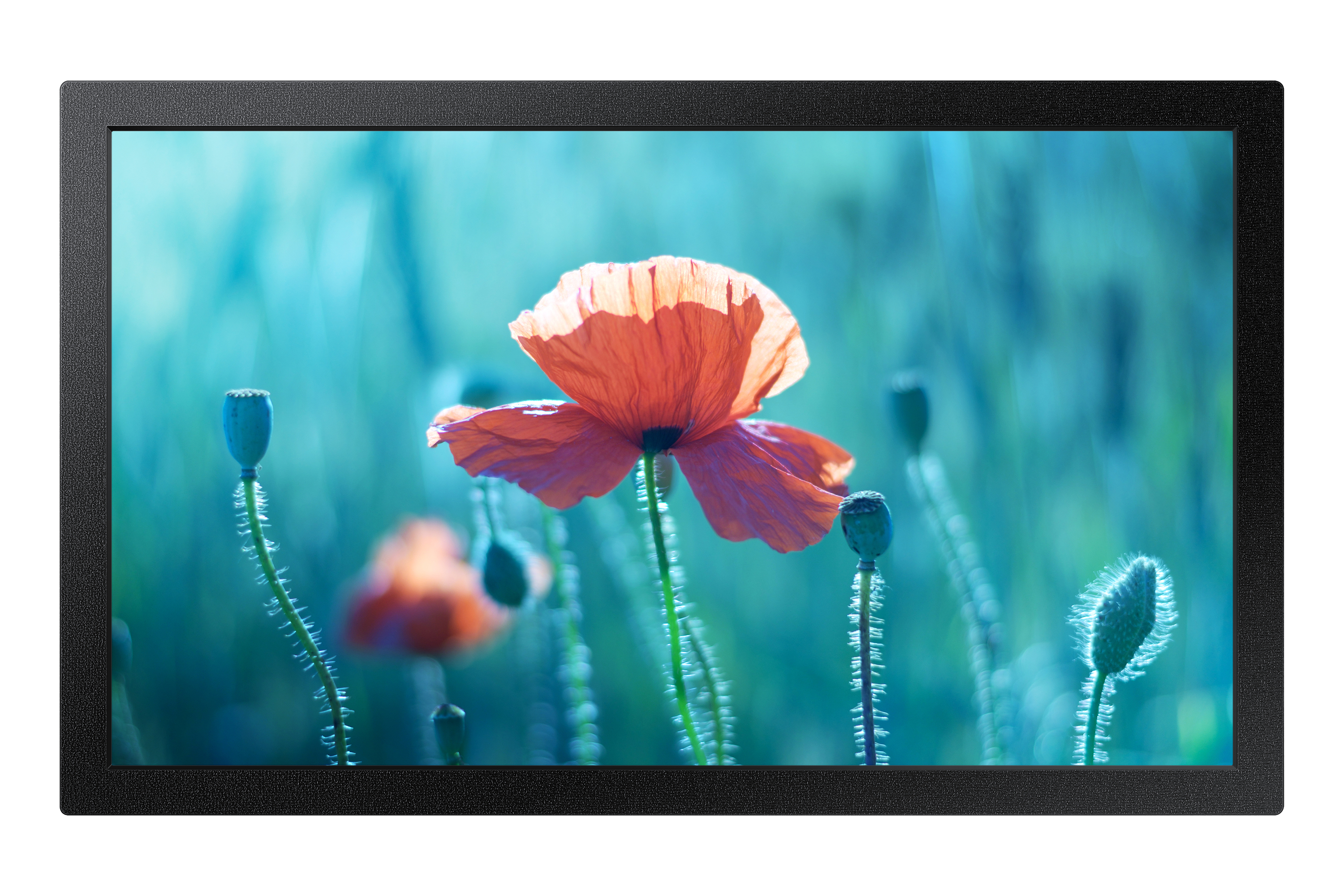 Samsung 13" Small Signage QBR-M (LH13QBRMBGCXEN) thumbnail