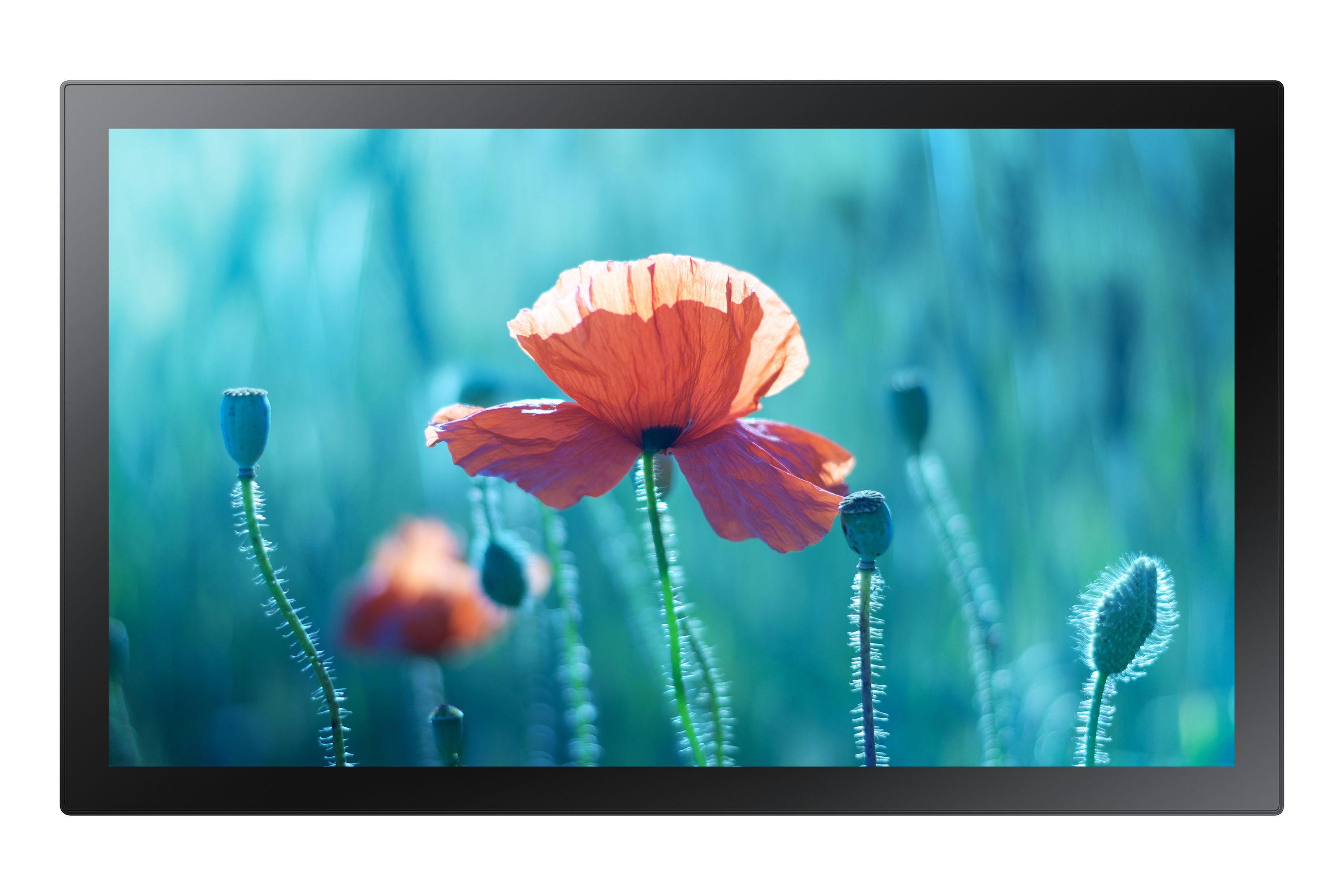 Samsung 13" Touch Display QBR-TM (LH13QBRTMGCXEN) thumbnail
