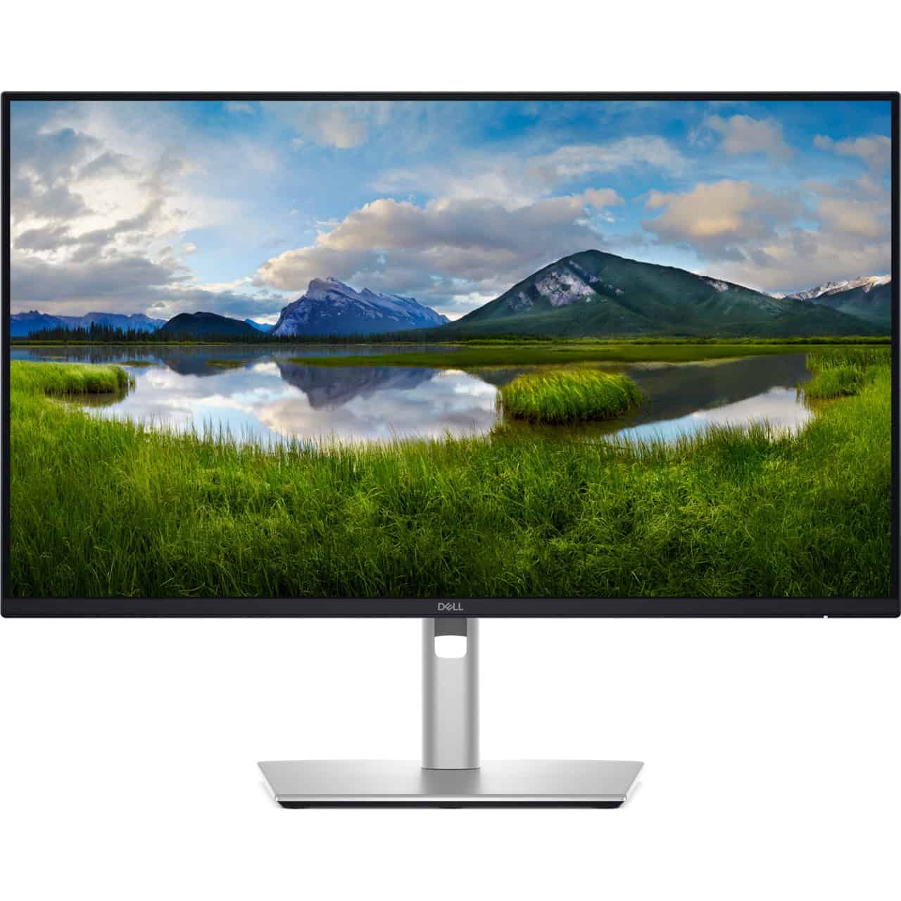 DELL Pro Plus P2425D 24 QHD L (DELL-P2425D/OUTLET) thumbnail