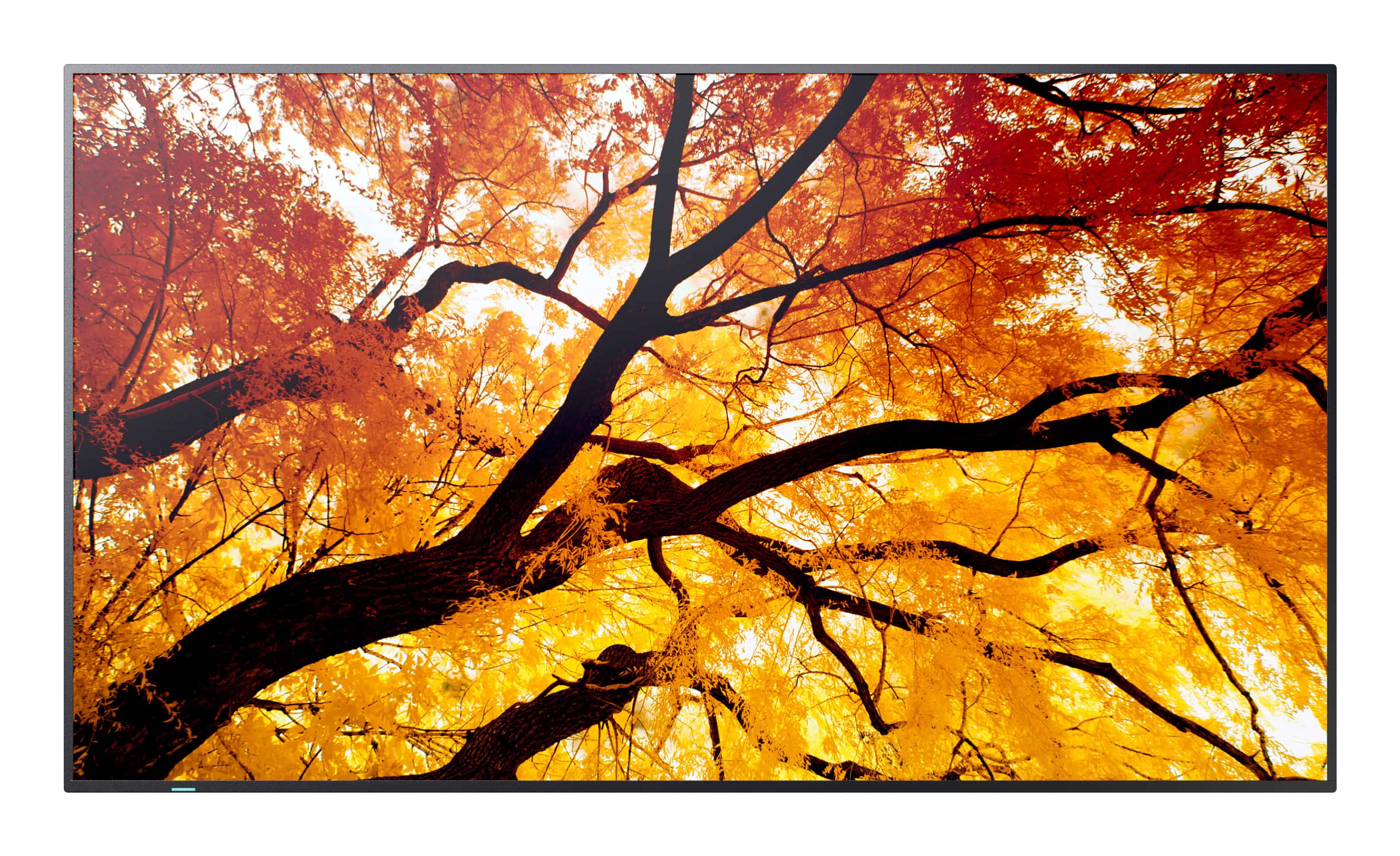 Sharp MultiSync M322 Digitale signage flatscreen 81,3 cm (32") LCD 550 cd/m² Full HD Zwart (60006052) thumbnail