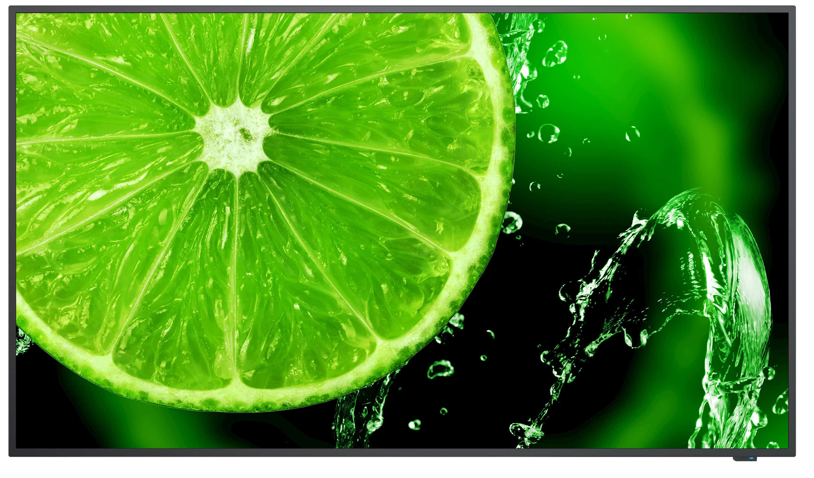 NEC MultiSync E498 124,5 cm (49") IPS 350 cd/m² 4K Ultra HD Zwart 16/7 (L50E498) thumbnail