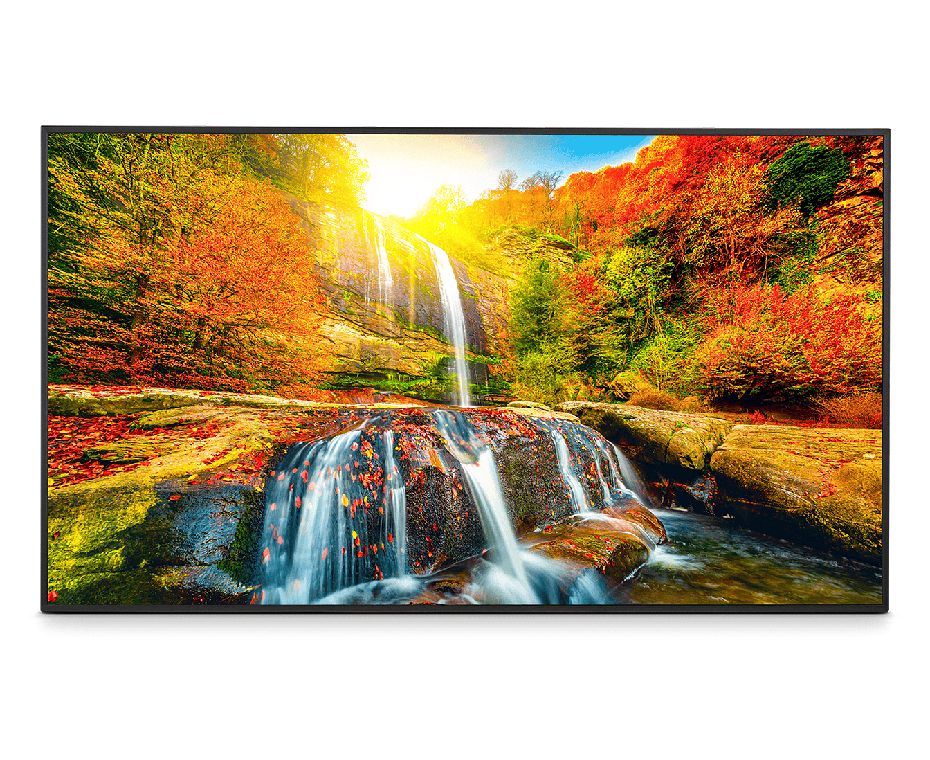 Sharp MultiSync M652 Digitale signage flatscreen 139,7 cm (55") LCD 550 cd/m² 4K Ultra HD Zwart Touchscreen (PNM652) thumbnail