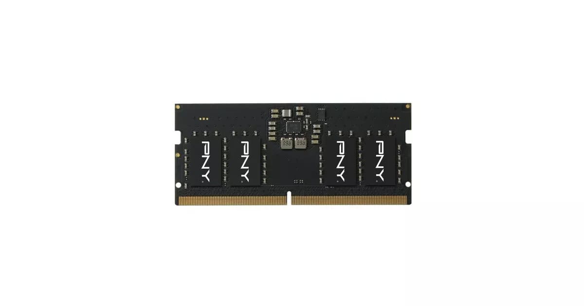 PNY 8 GB DDR5-RAM SO-DIMM PC5600 PNY MEM CL40 1x8GB TRAY (MN8GSD55600-BLK) (MN8GSD55600-BLK) thumbnail