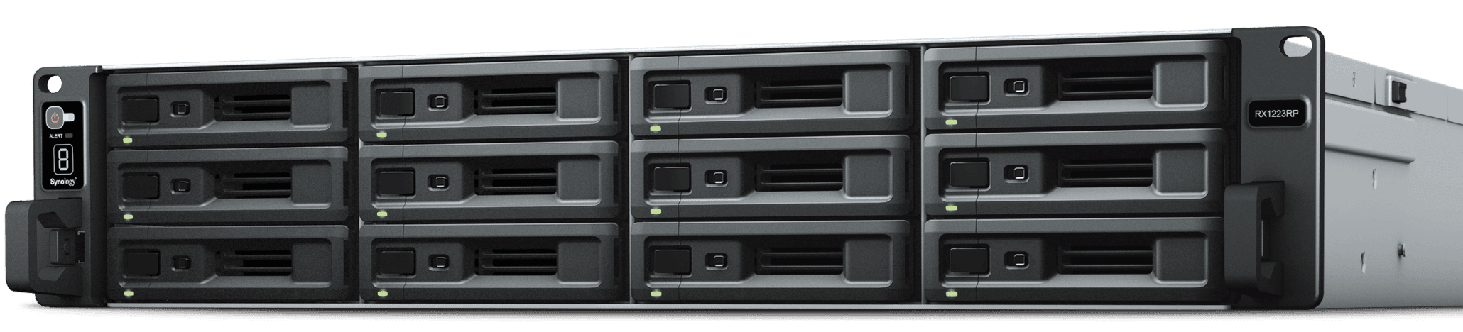 SYNOLOGY Dependable Capacity Expansion for Synology Servers (RX1223RP) (RX1223RP) thumbnail