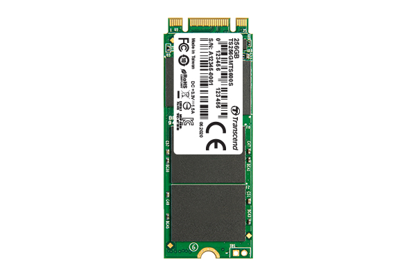 Transcend M.2 SSD 600S 256 GB SATA III (TS256GMTS600S) thumbnail