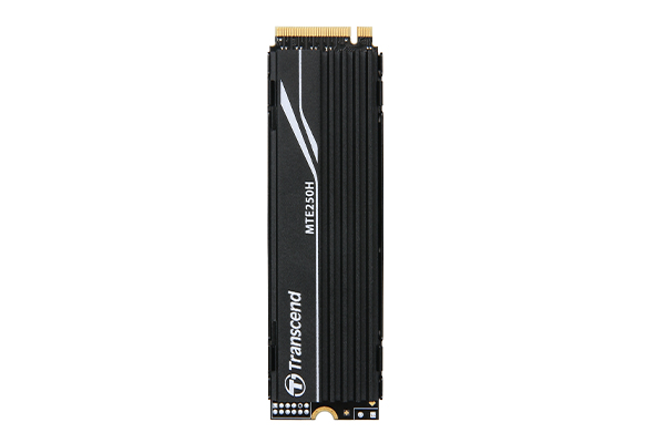 Transcend TS4TMTE250H internal solid state drive M.2 4000 GB PCI Express 4.0 NVMe (TS4TMTE250H) thumbnail